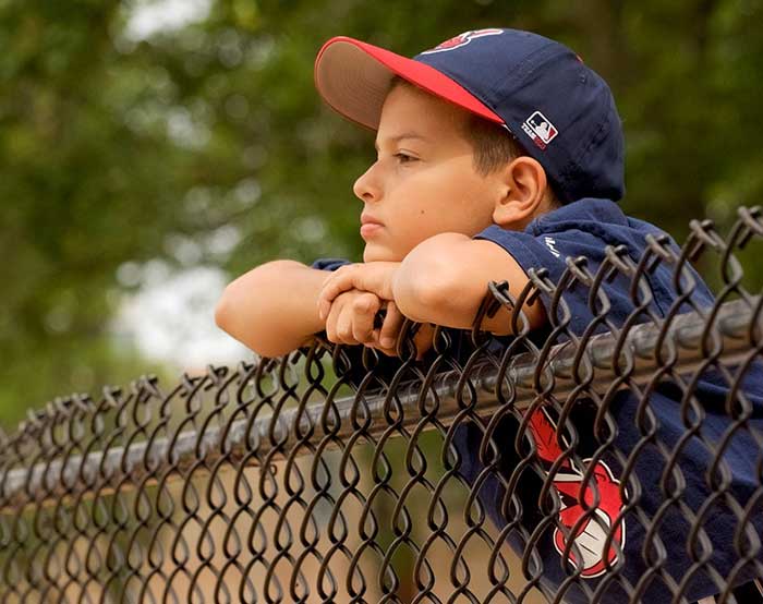 Chain Link Fence Panels