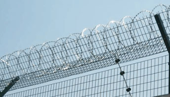 Barbed Wire