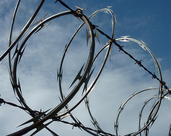 Concertina razor wire with barbed wire
