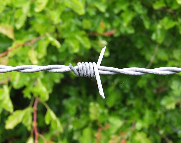 Barbed wire-04