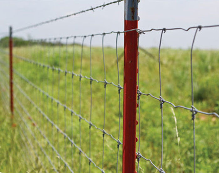 Galvanized Grassland Fence Manufacturer Factory